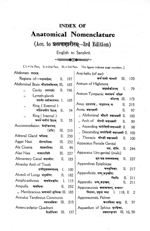 Anatomical Nomenclature